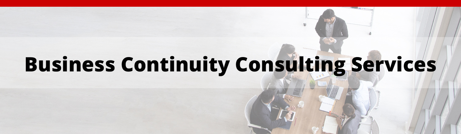 Business Continuity Consulting Services